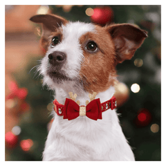 Red dog collar with Christmas-themed design and two red bow ties with gold accents.