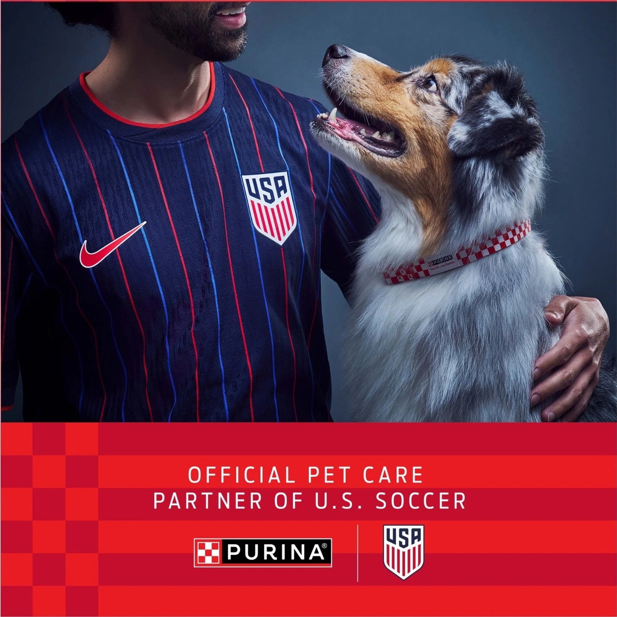 Purina Pro Plan Complete Essentials Chicken & Rice Adult Dog Food 35 Lb