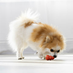 KONG Classic Rubber Dog Toy for Average Chewers