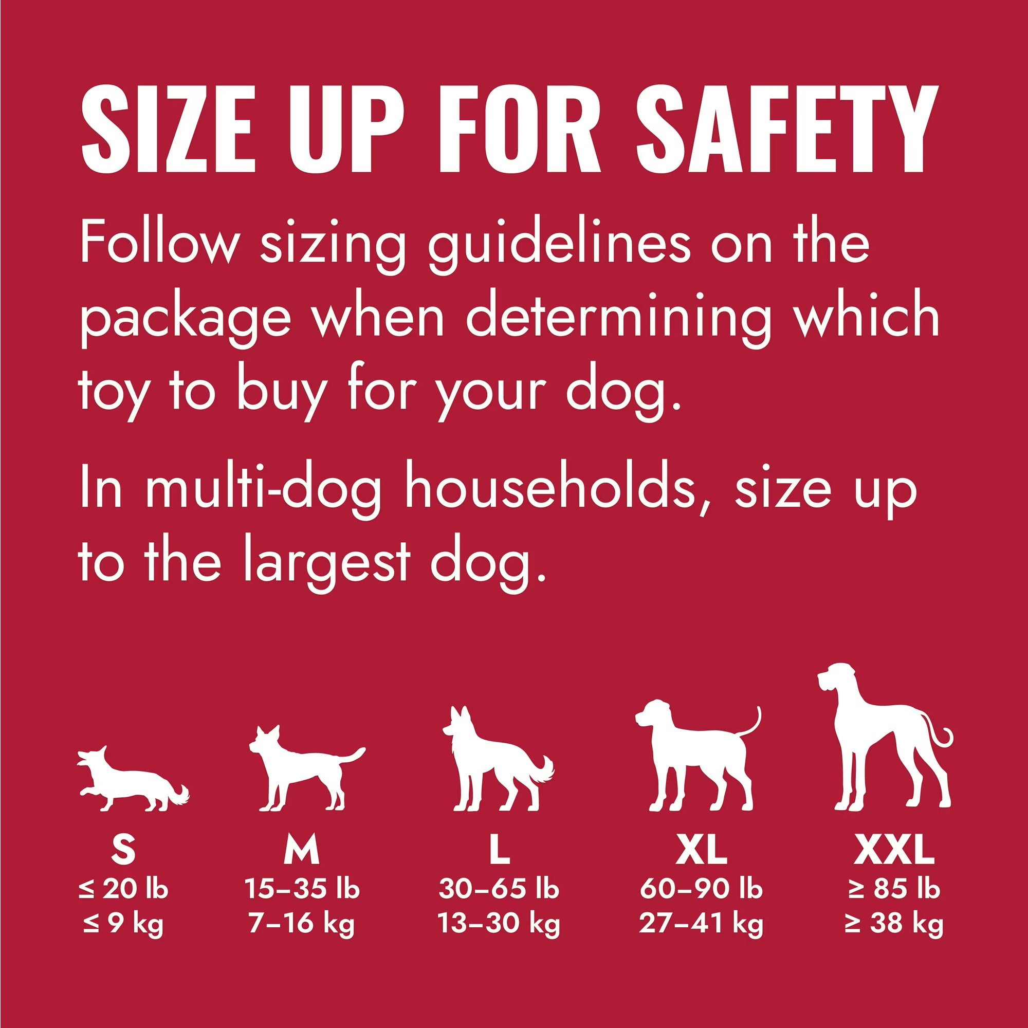 KONG Classic Rubber Dog Toy for Average Chewers