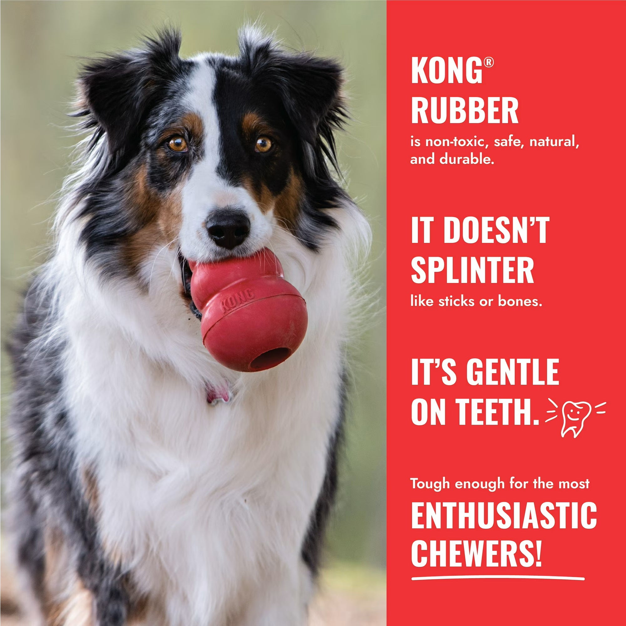 KONG Classic Flyer Soft Catch Dog Toy
