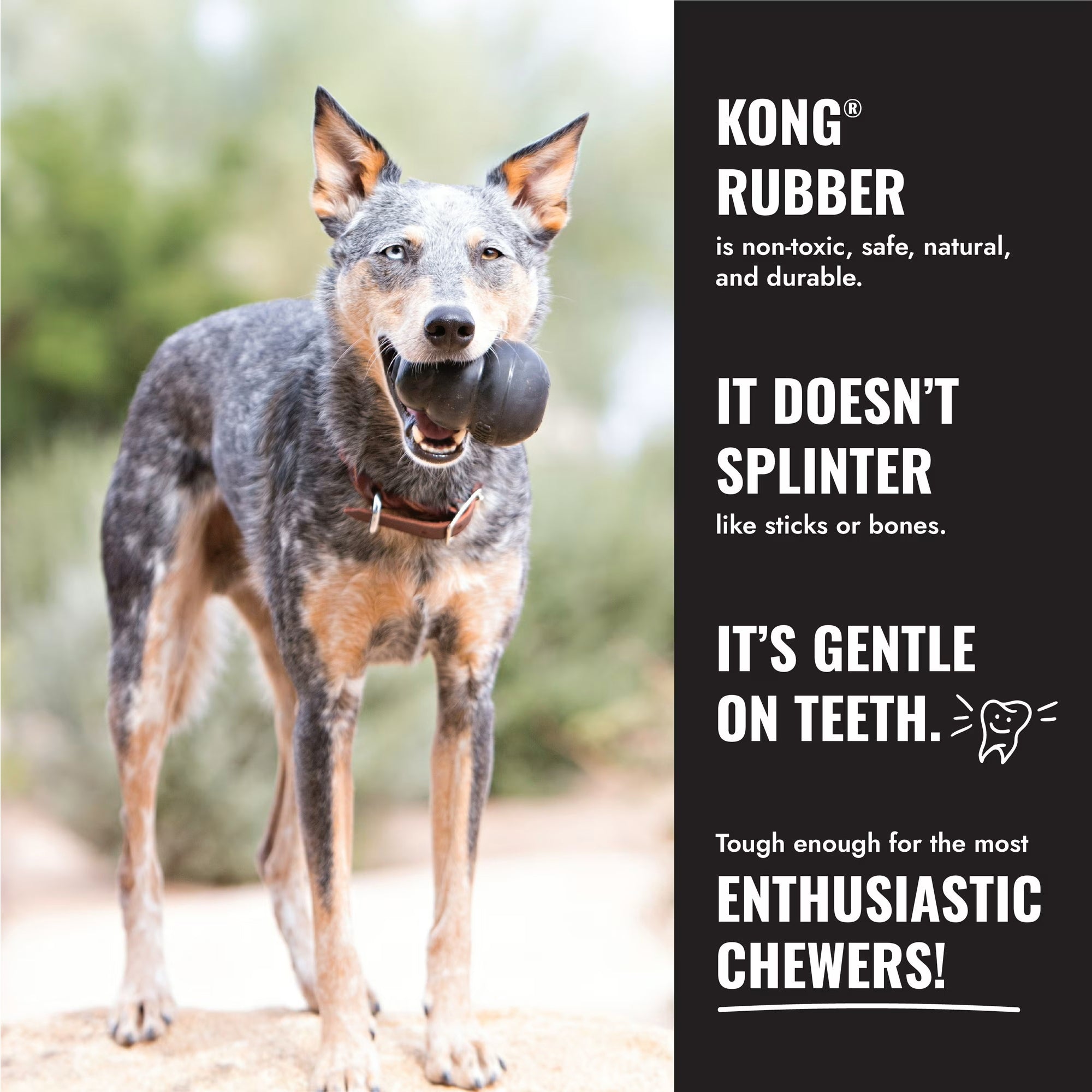 KONG Classic Rubber Extreme Dog Toy for Power Chewers