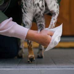 Earth Rated XL Hypoallergenic Pet Wipes - Pack of 3