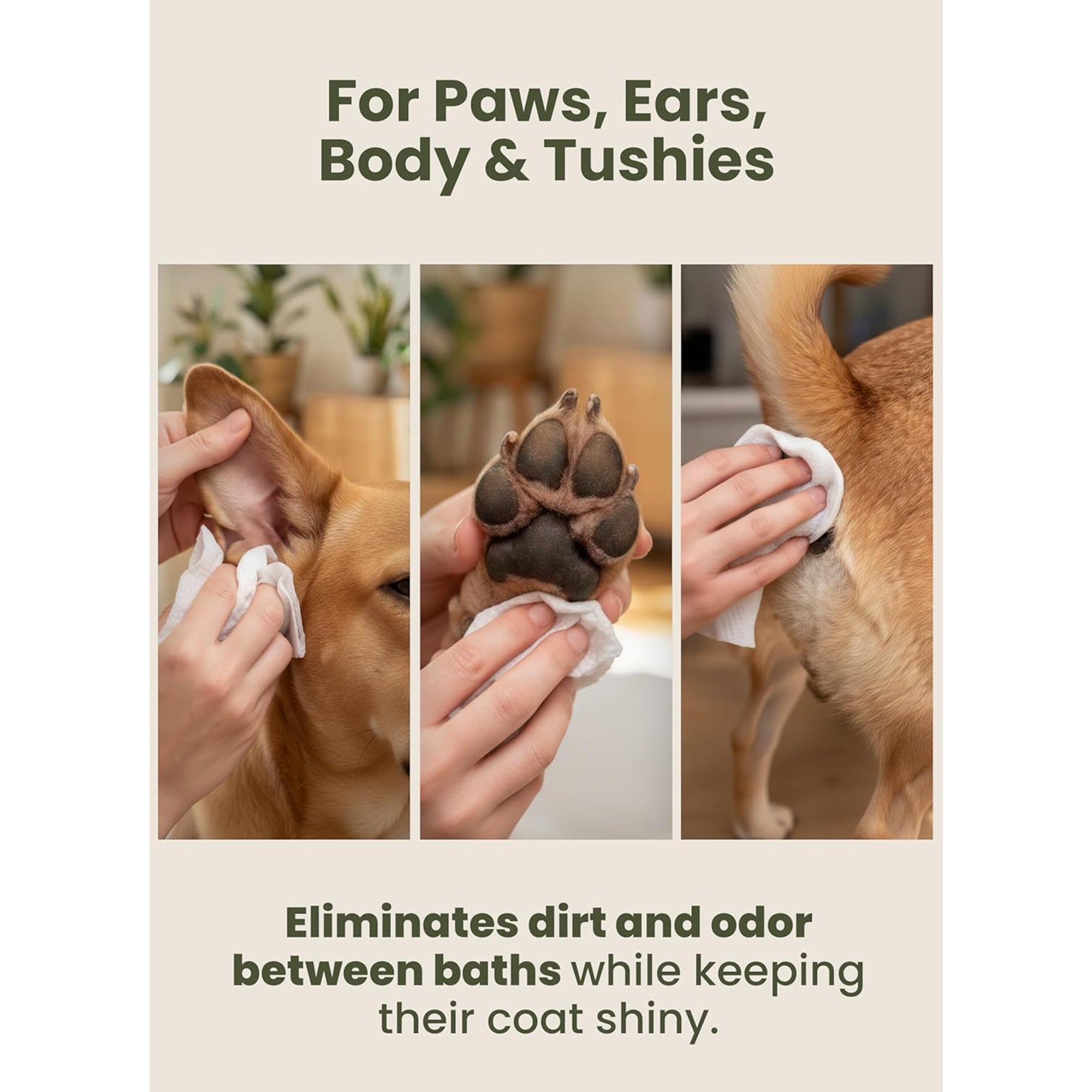 Pogi’S Dog Wipes – Hypoallergenic Pet Wipes for Paws, Body & Butt – Cleaning & Hydrating, Fragrance Free, 400 Count
