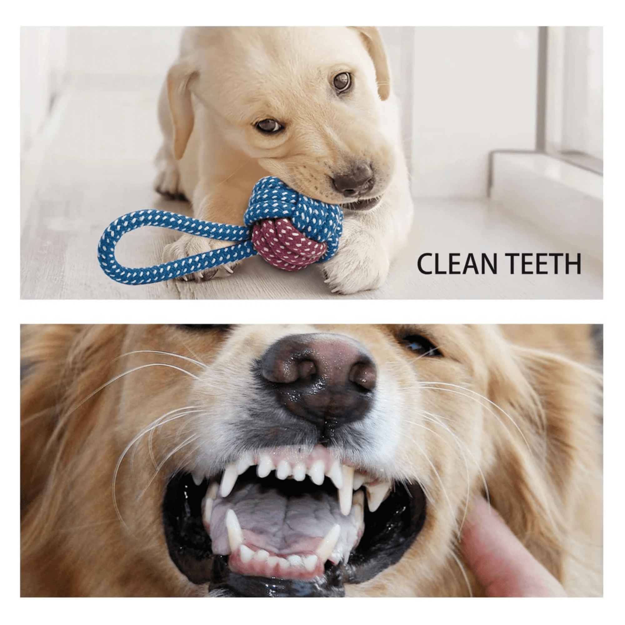 7 Pack Small Dog Toys Set Puppy Teething Chew Rope & Squeaky Toys