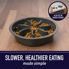 Slow Feeder Dog Bowl