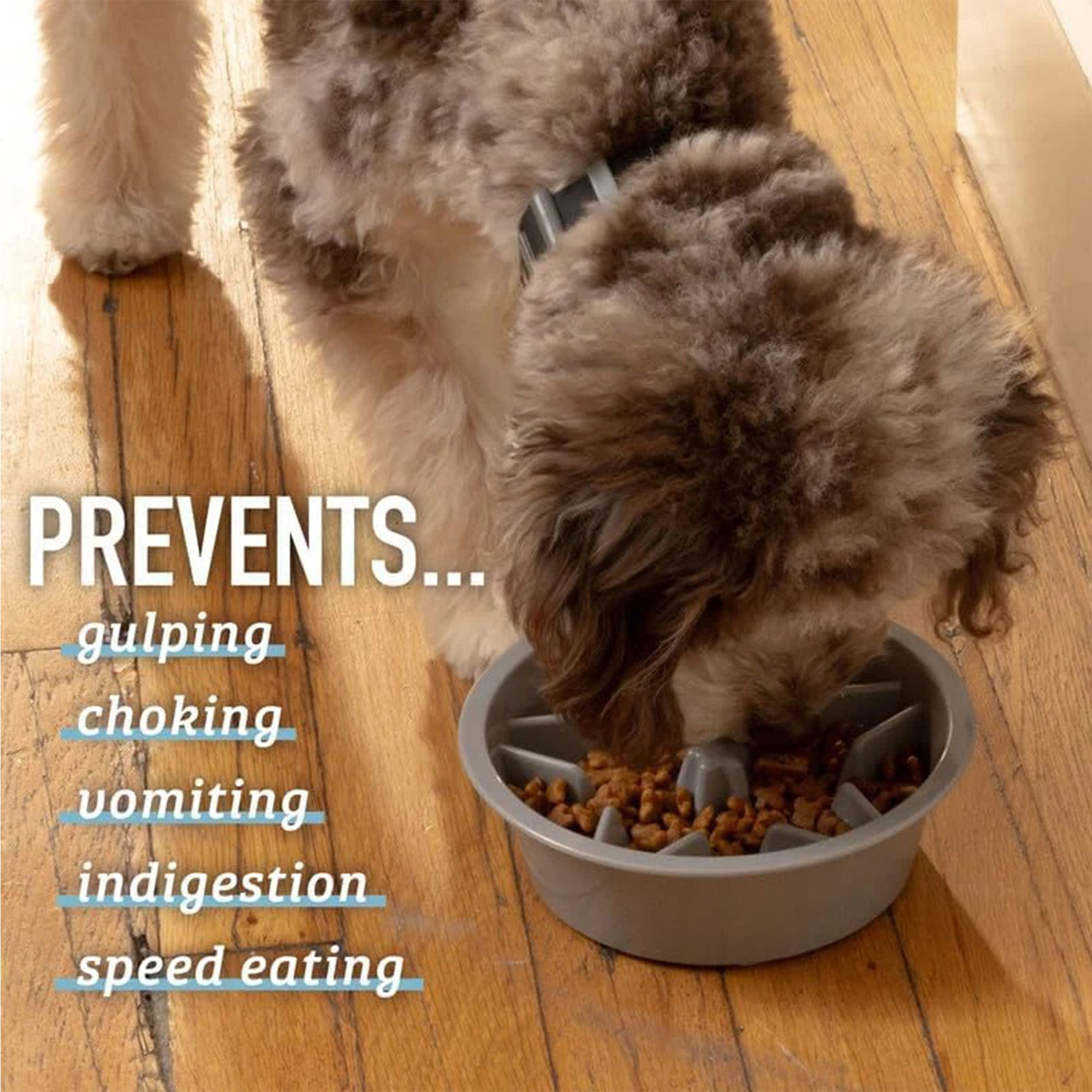 Slow Feeder Dog Bowl