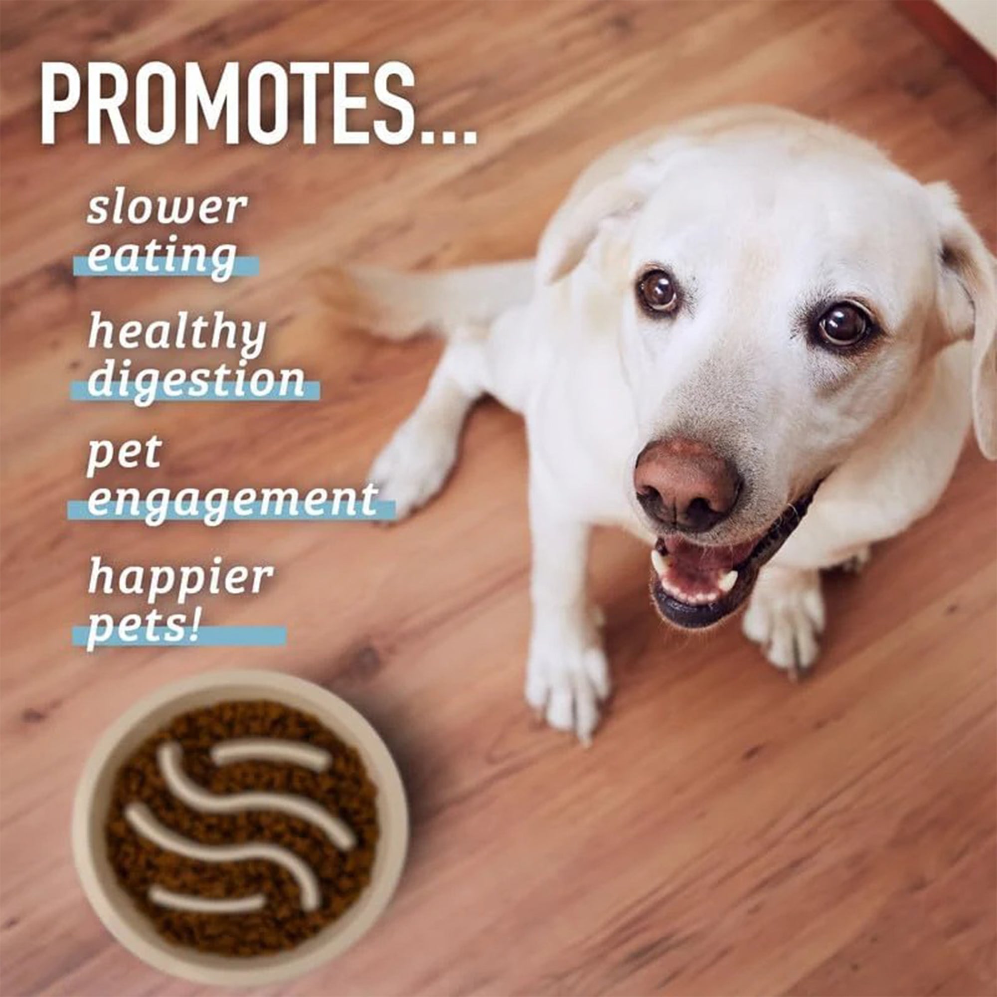 Slow Feeder Dog Bowl