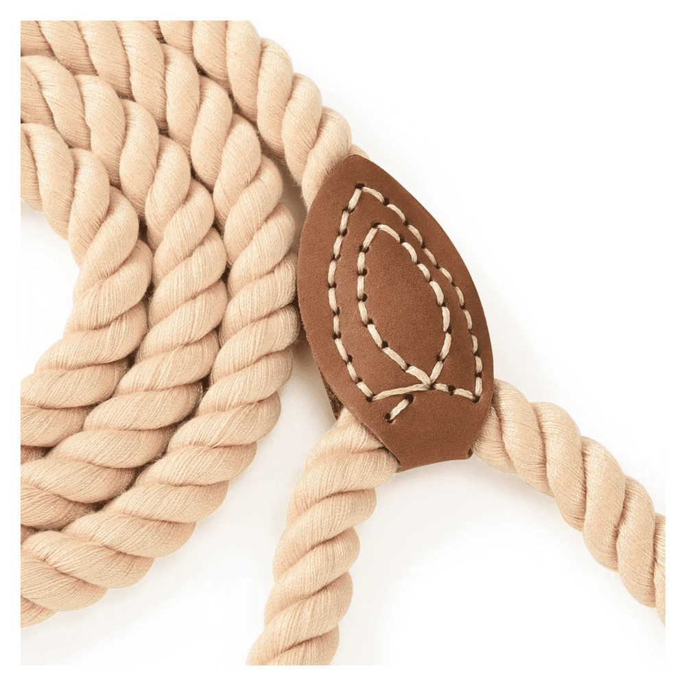 Braided Cotton Rope Dog Leash 6FT Heavy Duty Leather Tip & Metal Clasp Training Leash