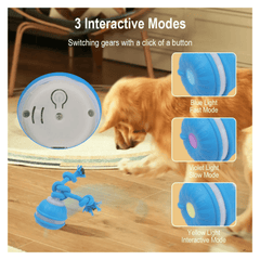 Automatic Rolling Smart Ball with Faux Tail, Rechargeable Electric Dog Toy with Motion Sensor