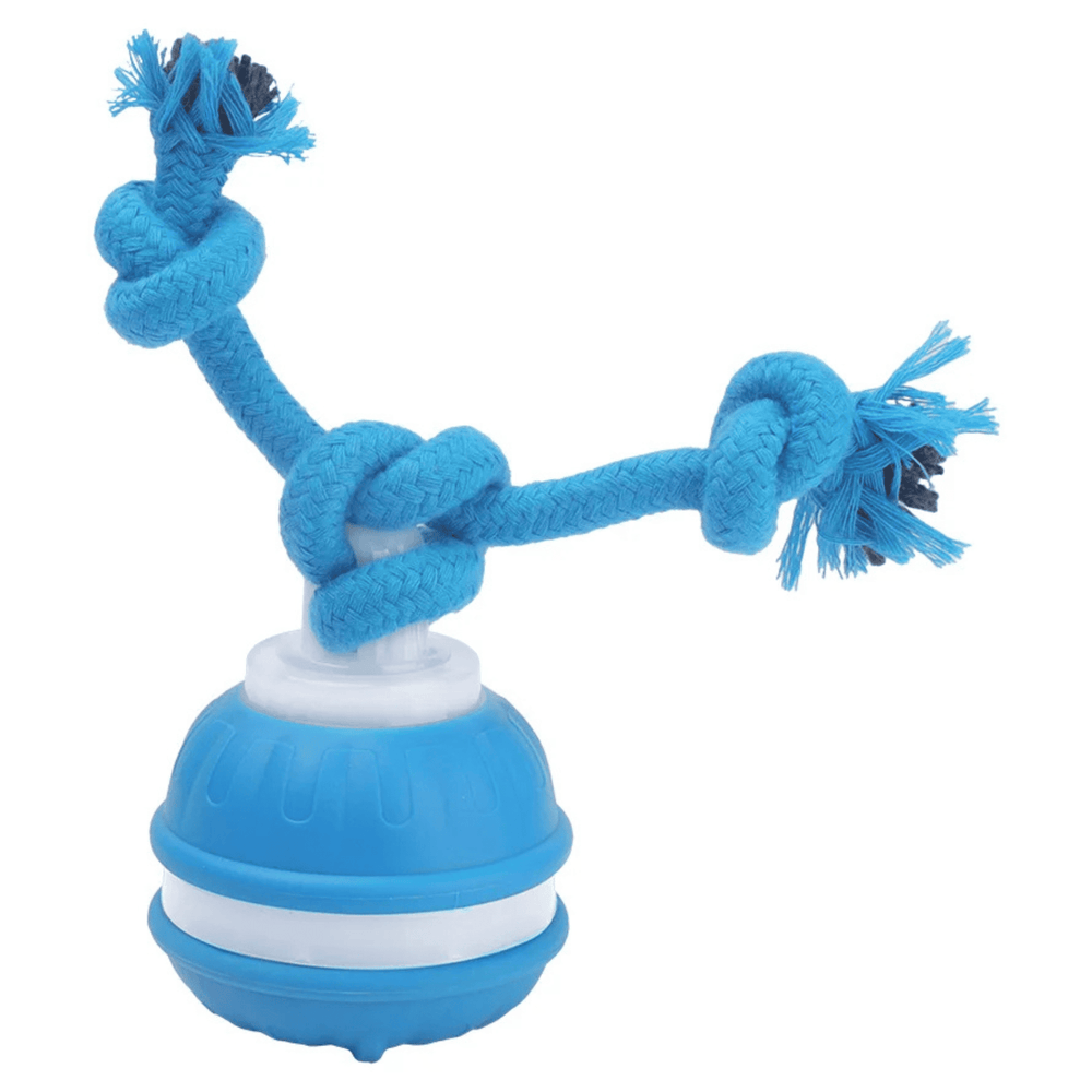 Automatic Rolling Smart Ball with Faux Tail, Rechargeable Electric Dog Toy with Motion Sensor