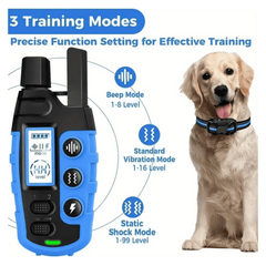 Waterproof Rechargeable Electric Shock Dog Training Collar with Remote