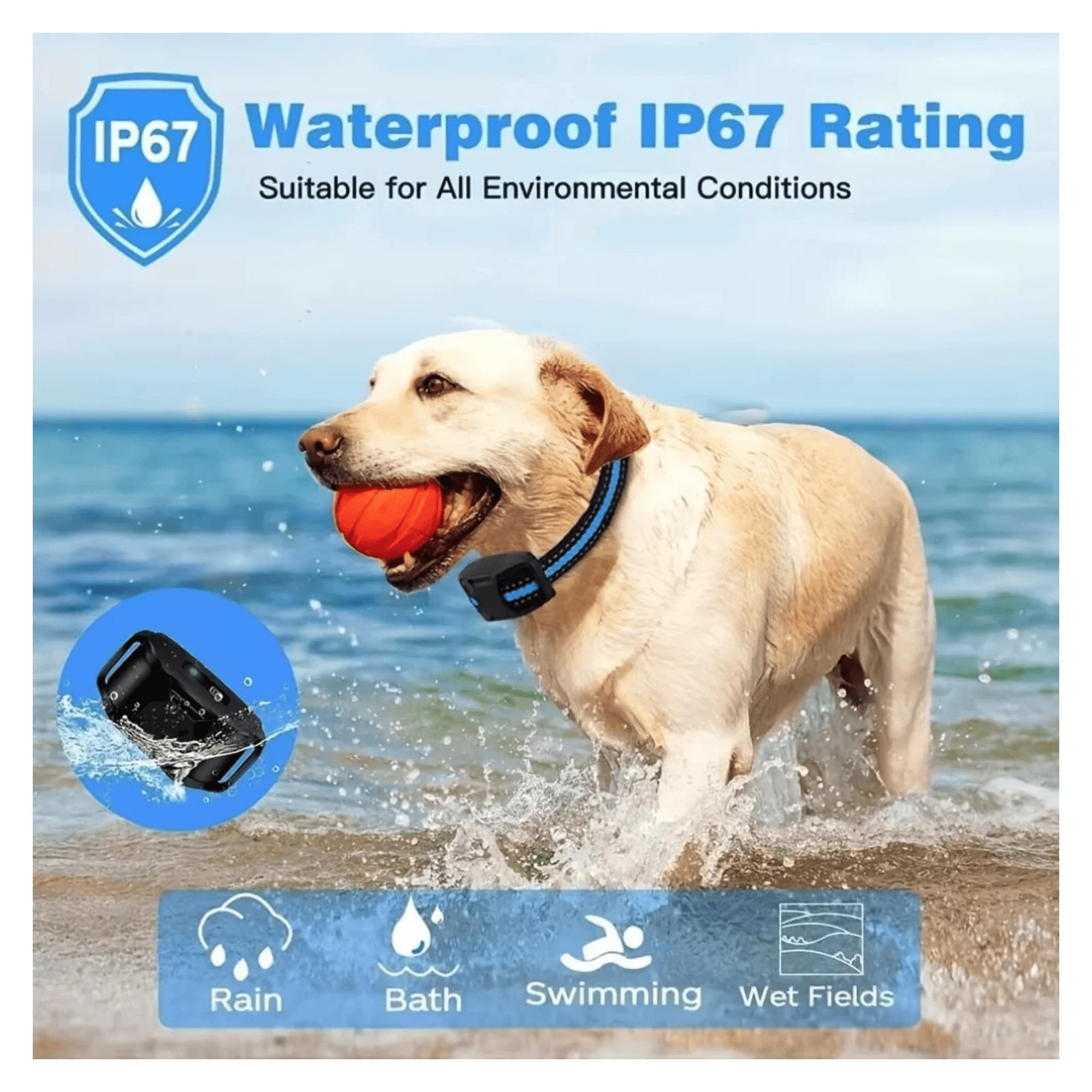 Waterproof Rechargeable Electric Shock Dog Training Collar with Remote