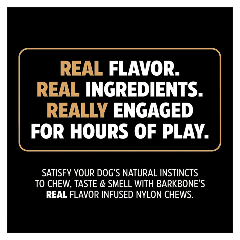 Dinosaur BarkBone Nylon Dog Chew Toy Bacon Flavor for Aggressive Chewers 8.5"