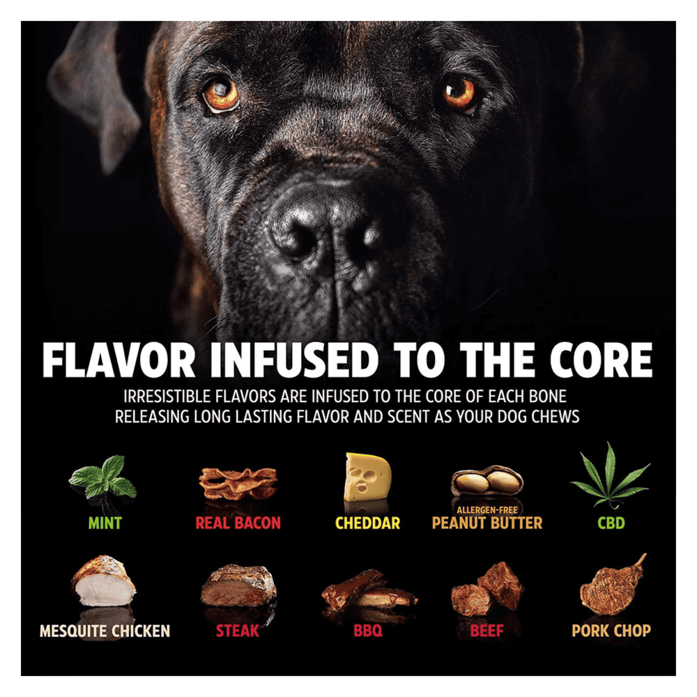 Dinosaur BarkBone Nylon Dog Chew Toy Bacon Flavor for Aggressive Chewers 8.5"