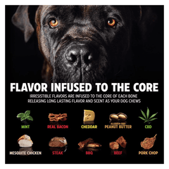 Dinosaur BarkBone Nylon Dog Chew Toy Bacon Flavor for Aggressive Chewers 8.5"