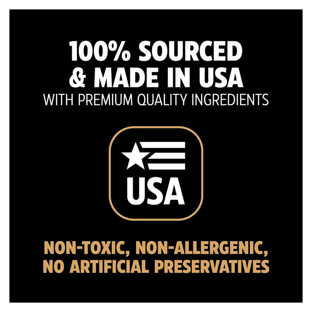 Dinosaur BarkBone Nylon Dog Chew Toy Bacon Flavor for Aggressive Chewers 8.5"